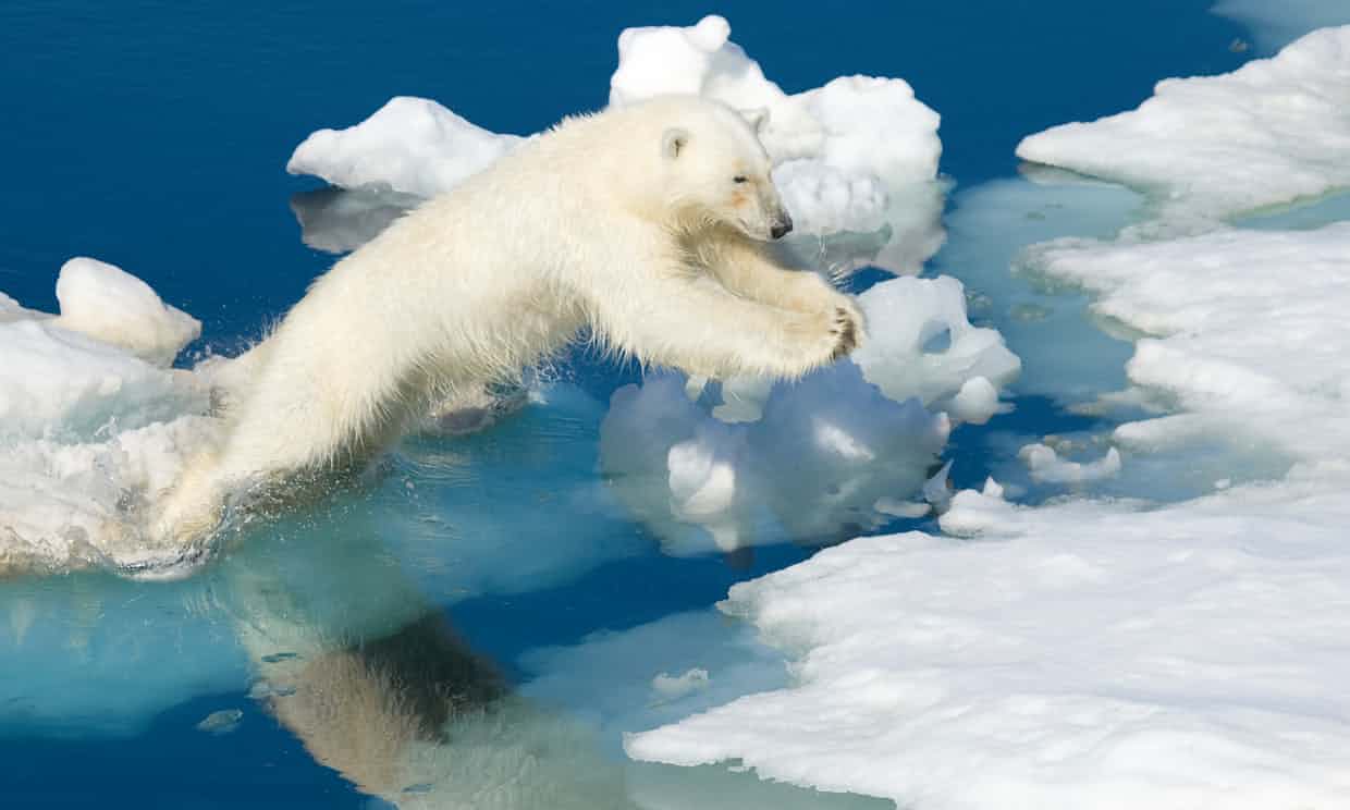 Arctic warming: scientists alarmed by ‘crazy’ temperature rises