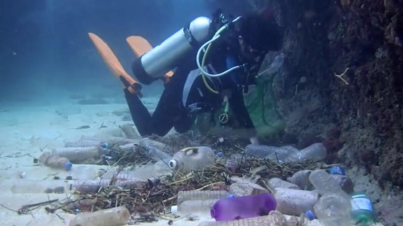 Plastic Garbage Patch Bigger Than Mexico Found in Pacific