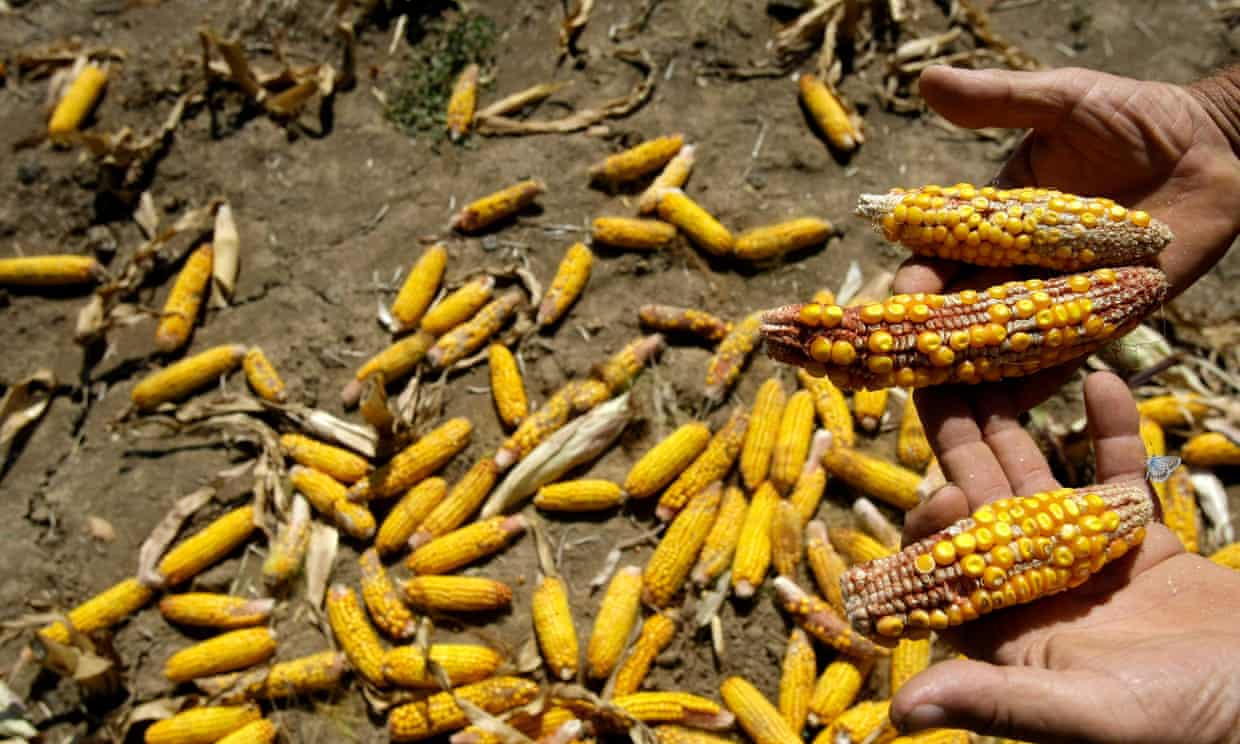 Climate crisis seriously damaging human health, report finds