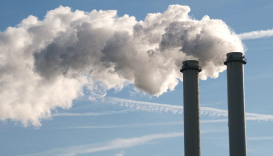 The true cost of carbon pollution