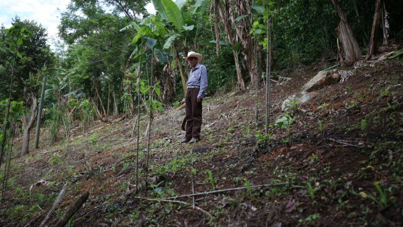 Central America’s choice: Pray for rain or migrate