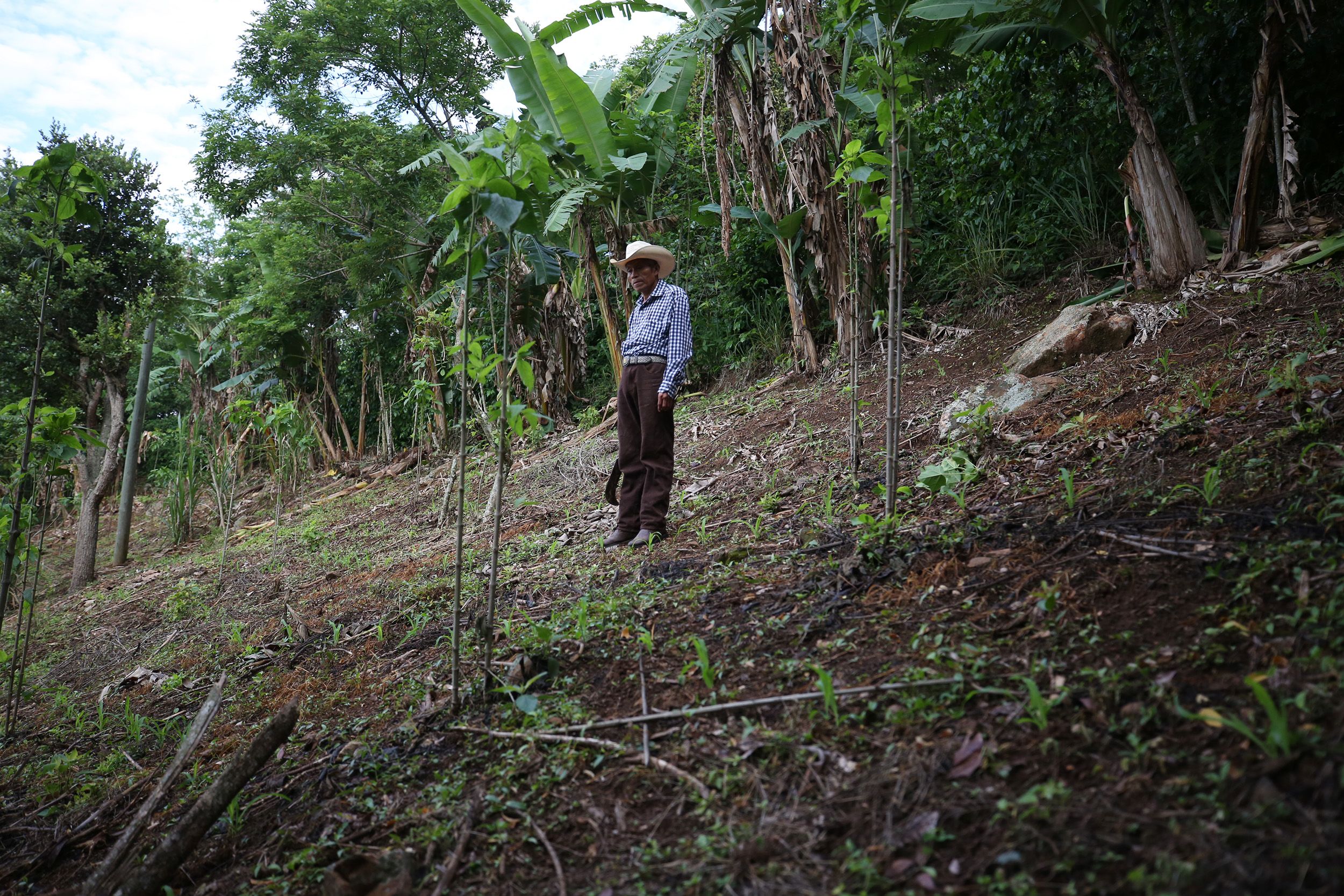 Central America’s choice: Pray for rain or migrate