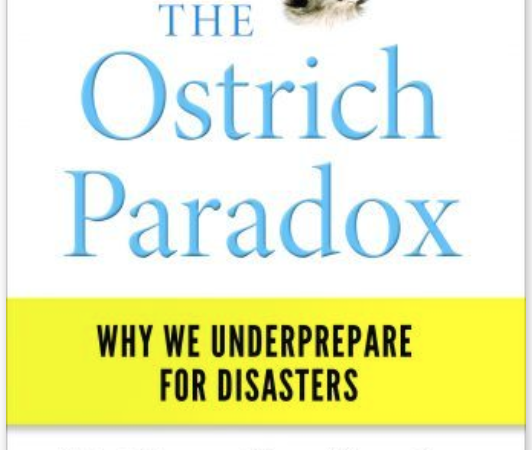 The Ostrich Paradox ($.99)!!